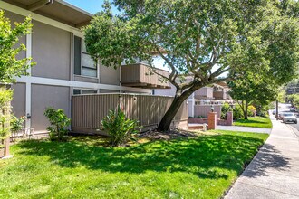Moraga Manor in Moraga, CA - Building Photo - Building Photo