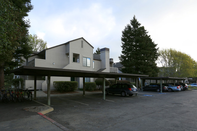 Pickleweed Apartments in Mill Valley, CA - Building Photo - Building Photo