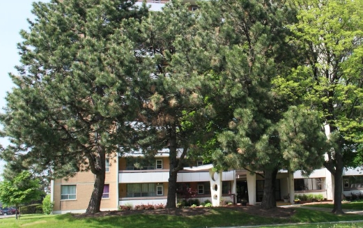 Comfort Apartments in Hamilton, ON - Building Photo