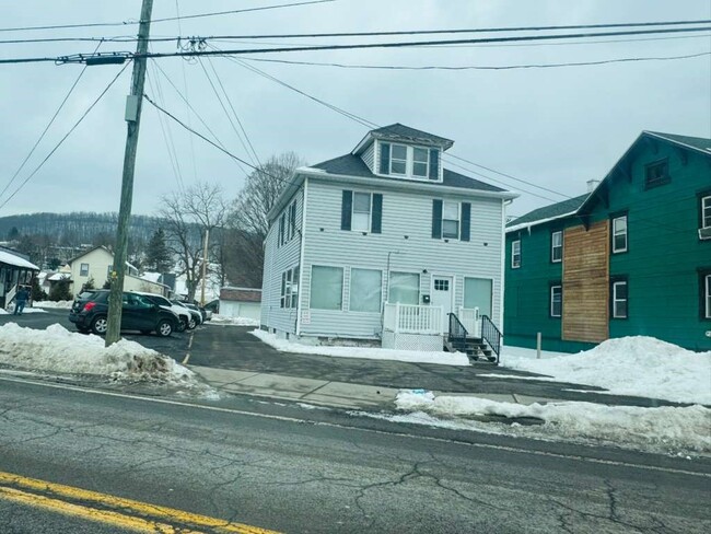 157 Harry L Dr in Johnson City, NY - Building Photo - Building Photo