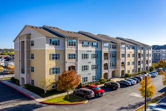 Lirio in San Antonio, TX - Building Photo - Building Photo
