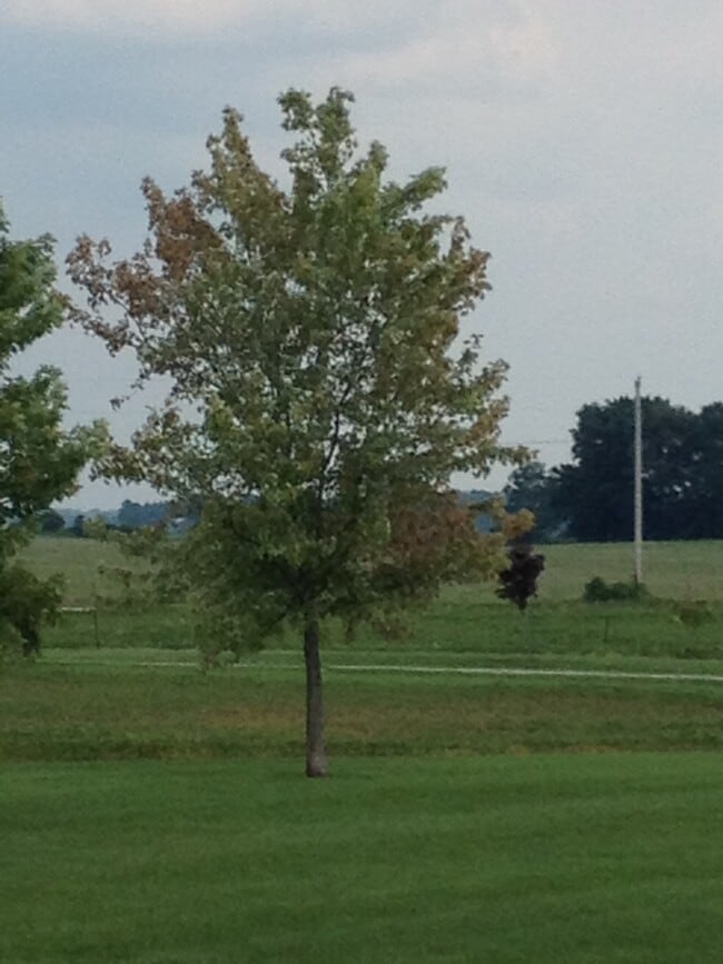 505 Vineyards Ct in Lafayette, IN - Foto de edificio - Building Photo