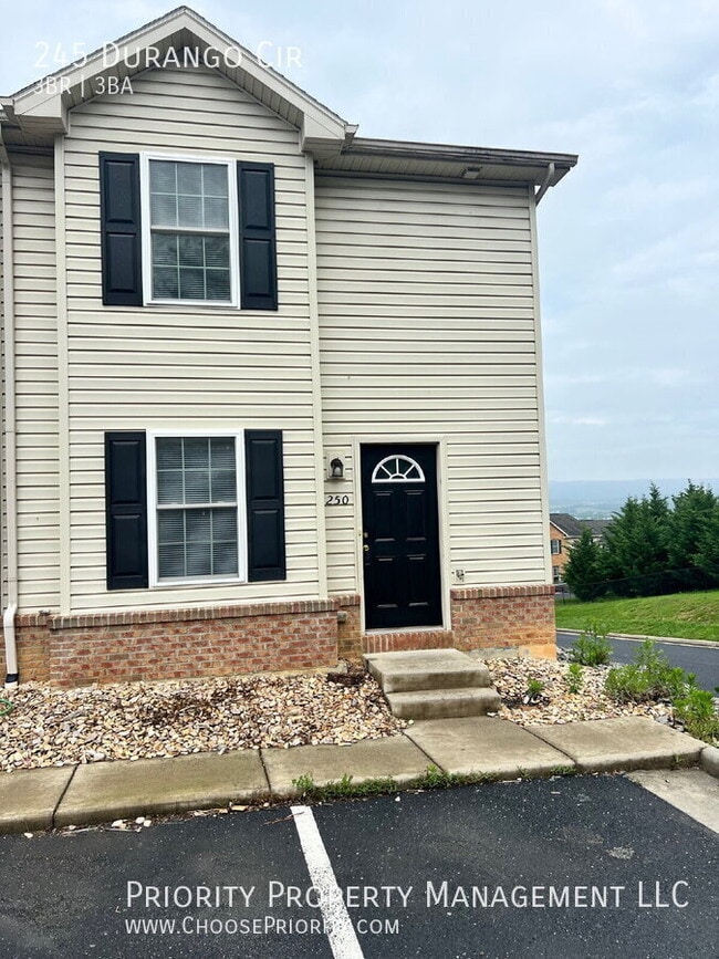 property at 245 Durango Cir