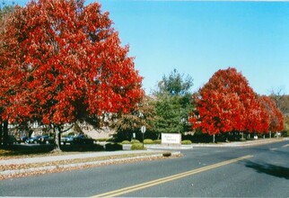 Tudor Gardens in Wayne, NJ - Building Photo - Building Photo