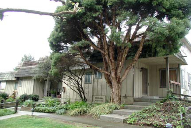 6010-6034 Soquel in Aptos, CA - Foto de edificio - Building Photo