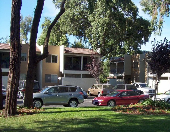 Pinecrest Apartments in Napa, CA - Building Photo - Building Photo