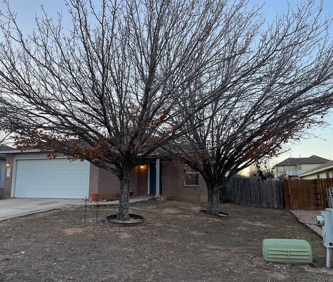 289 Spring Branch Loop in Kyle, TX - Building Photo - Building Photo