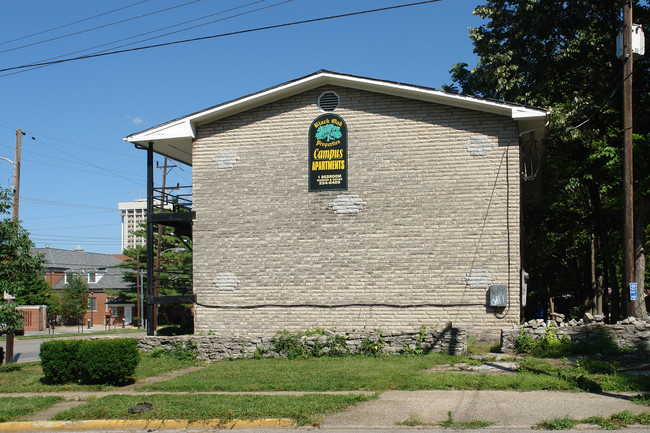 373 Linden Walk in Lexington, KY - Foto de edificio - Building Photo