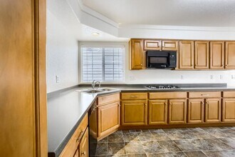 5037 Pasadena Way in Broomfield, CO - Building Photo - Building Photo