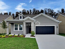 6253 Emerald Hls Wy in Wesley Chapel, FL - Building Photo