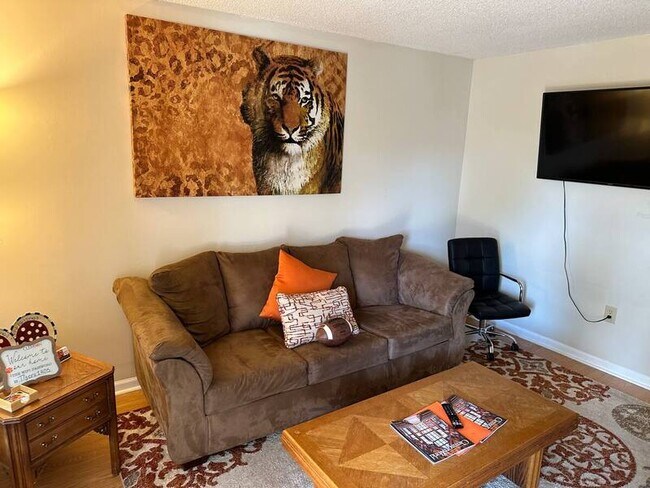 250 Elm St in Clemson, SC - Building Photo - Building Photo