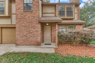 3 Field Flower Ct in Spring, TX - Building Photo - Building Photo