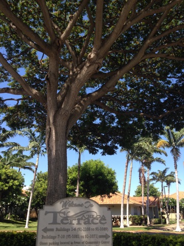 A'eloa Terrace in Kapolei, HI - Building Photo