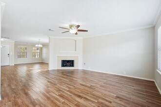 10411 Deer Branch in Missouri City, TX - Foto de edificio - Building Photo