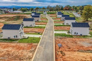 4165 Gambrel Oaks St in Blountville, TN - Building Photo