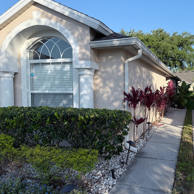 6311 Gentle Ben Cir in Zephyrhills, FL - Building Photo - Building Photo