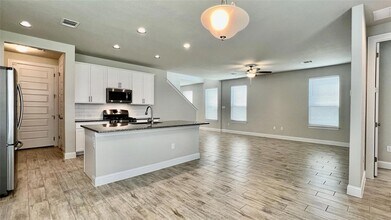 17212 Alturas Ave in Pflugerville, TX - Foto de edificio - Building Photo