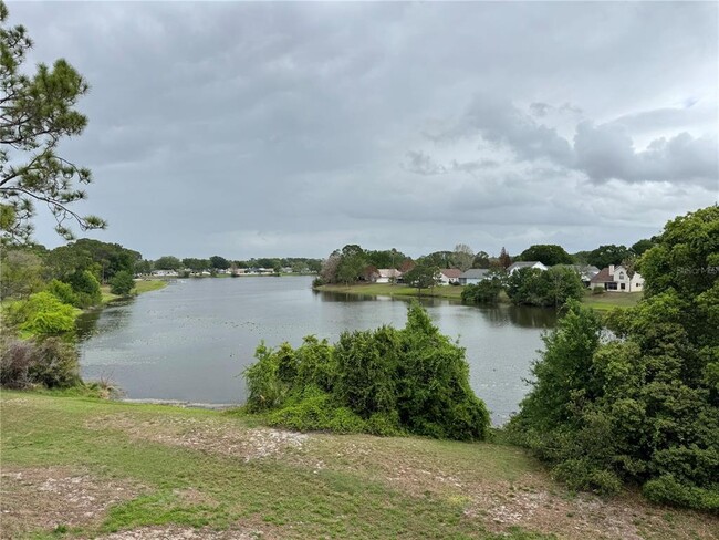 property at 2569 Grassy Point Dr