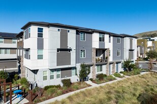 366 Arc Ct in Hayward, CA - Building Photo