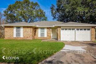 10823 Sagecrest Ln in Houston, TX - Building Photo