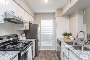 Broadstone Briar Forest