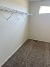 1749 Country Sun Dr in Windsor, CO - Building Photo - Building Photo