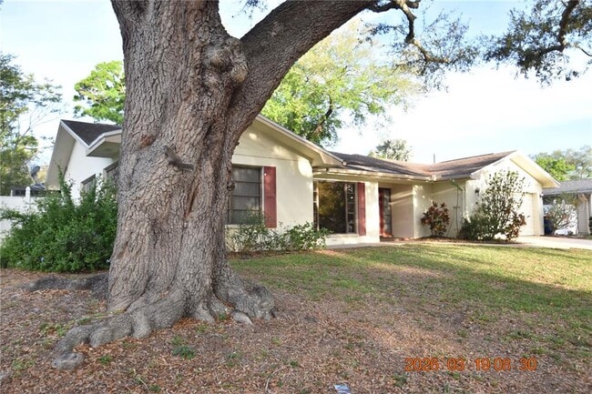 2562 Redwood Way in Clearwater, FL - Building Photo - Building Photo