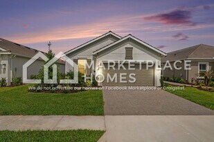 3928 Fraccareta Wy in Wesley Chapel, FL - Building Photo