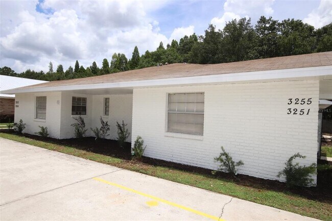 3253 Bloomingdale Villas Ct in Brandon, FL - Building Photo - Building Photo