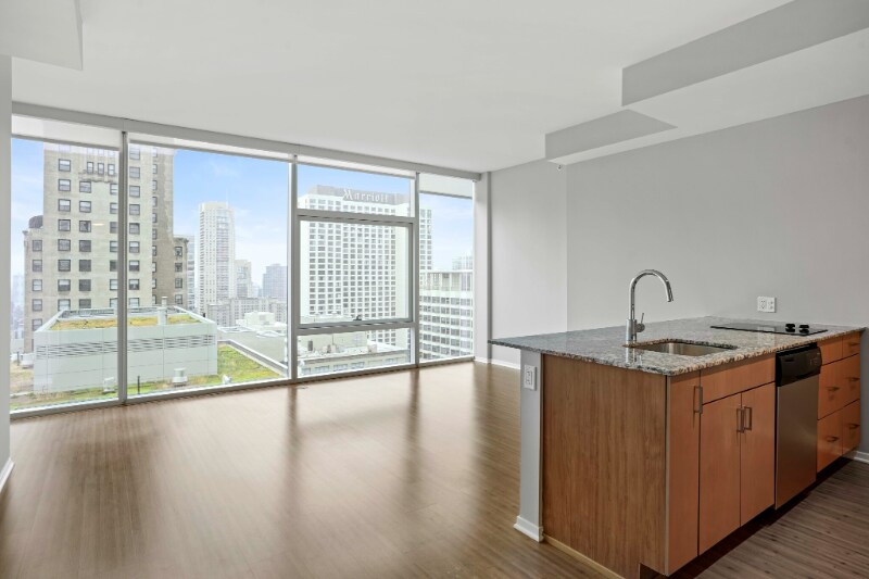 225 E Illinois St in Chicago, IL - Building Photo