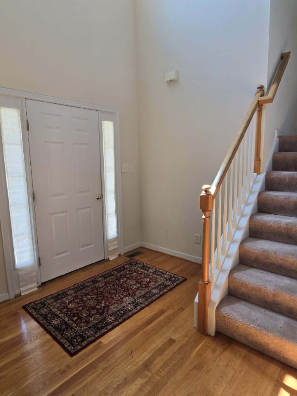 4508 Heidi Turn in Midlothian, VA - Building Photo - Building Photo