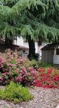 034 - Westwood Trees in Chico, CA - Building Photo - Interior Photo