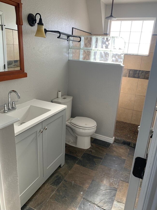 5242 E Sandpiper Ave in Castle Rock, CO - Building Photo - Building Photo
