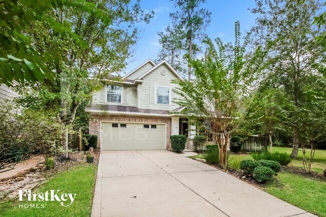 19 Cloud Bank Pl in Spring, TX - Building Photo - Building Photo