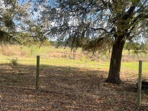 3301 Hammock Grove Rd in Groveland, FL - Building Photo - Building Photo