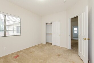 15311 N 159th Dr in Surprise, AZ - Foto de edificio - Building Photo