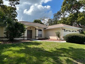 11018 Audie Brook Dr in Spring Hill, FL - Building Photo