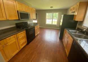 1 Hickory Cv Lp in Oxford, MS - Building Photo - Building Photo