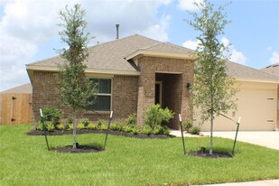 18210 Mulberry Spring Cir in Richmond, TX - Foto de edificio - Building Photo