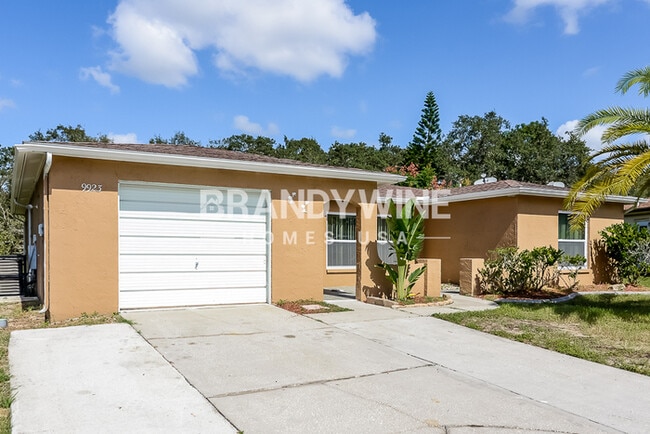 9923 Woodridge Ct in Port Richey, FL - Building Photo - Building Photo