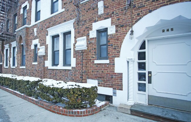 245 96th St in Brooklyn, NY - Foto de edificio - Building Photo