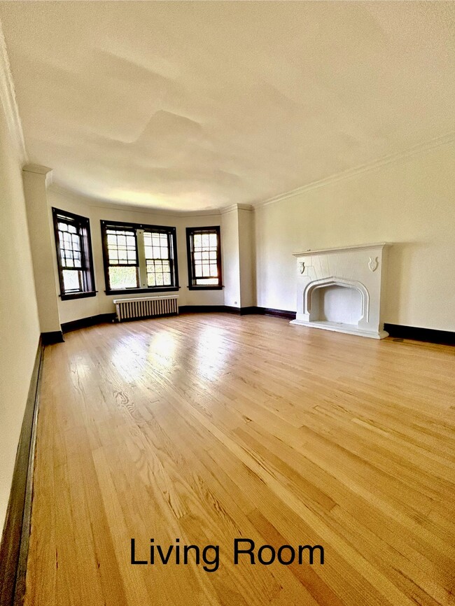 704 S Maple Ave, Unit 3N in Oak Park, IL - Building Photo - Building Photo