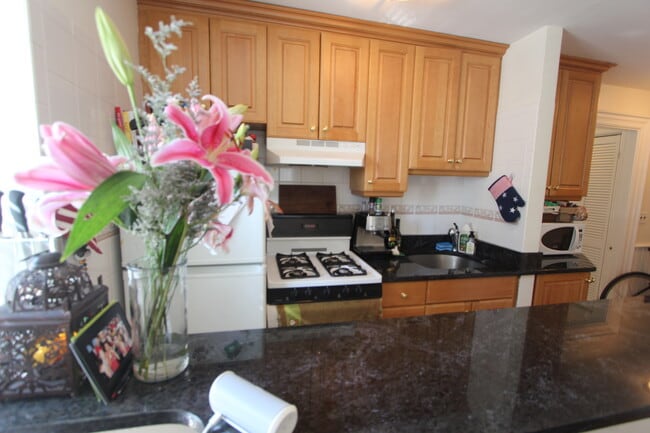 57 Putnam Ave, Unit 1 in Cambridge, MA - Building Photo - Building Photo