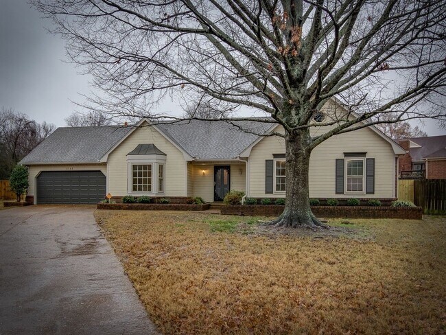 4944 Barrington Cove in Memphis, TN - Building Photo - Building Photo