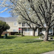 6667 Blue Heron Dr, Unit H in Upper Lake, CA - Building Photo - Building Photo