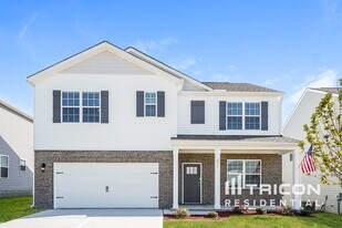 281 Hanging Elm Ln in Fuquay Varina, NC - Building Photo