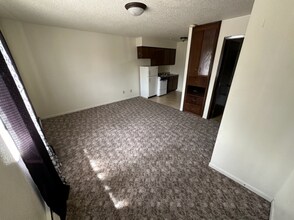 320 Oak Ave N in Thief River Falls, MN - Building Photo - Building Photo