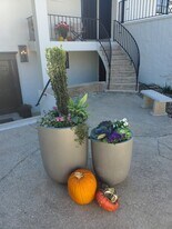 161 Melrose Ave, Unit 161MelroseAve#2 in Tryon, NC - Building Photo