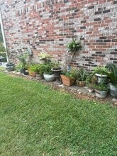 21 Oak Alley Ln in Long Beach, MS - Building Photo - Building Photo