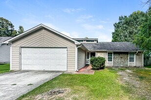 10838 Starling Trail in Hampton, GA - Building Photo